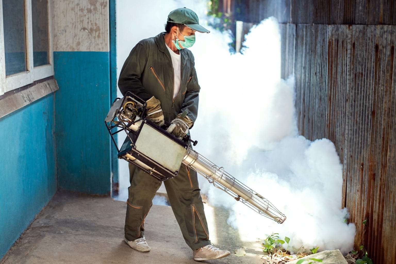 pest control services in kolkata