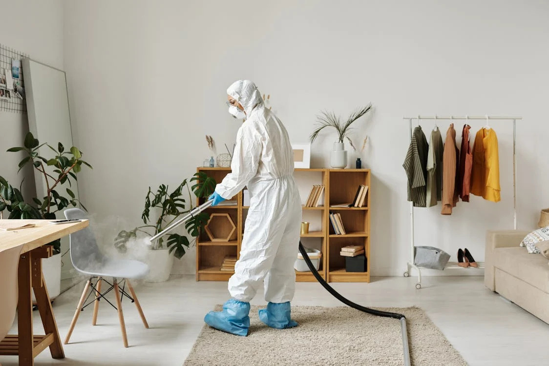 Effective Termite Control In Kolkata