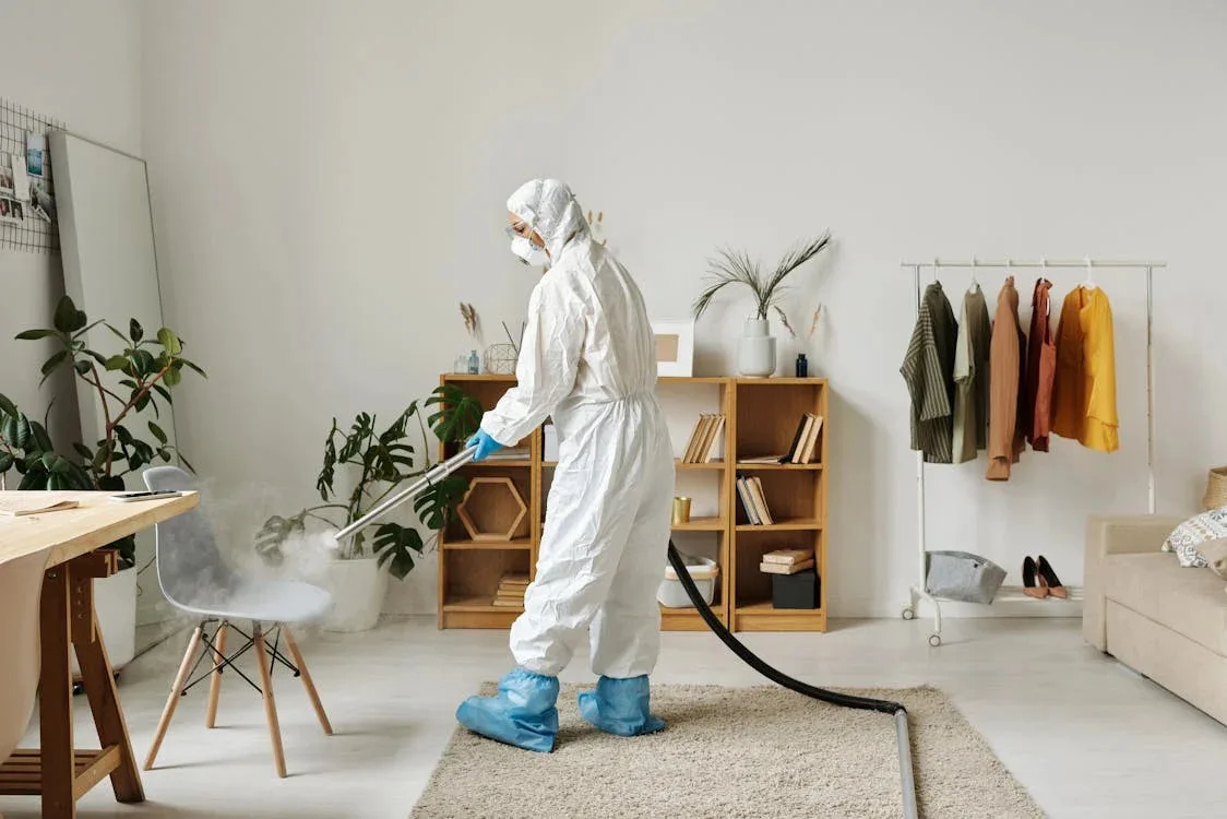 Effective Termite Control In Kolkata