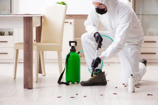 Effective Solutions Provider For Termite Control